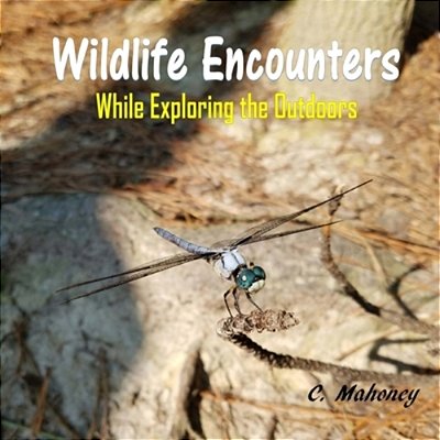Wildlife Encounters While Exploring The Outdoors-..