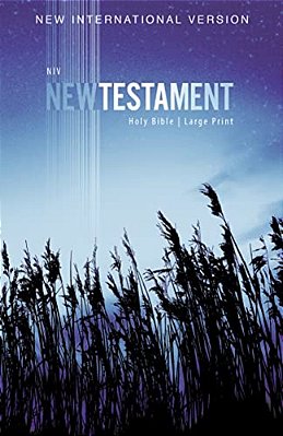 Niv, Outreach New Testament, Large Print, Paperback-..