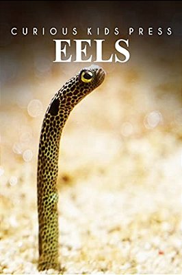 Eels - Curious Kids Press: Kids Book About Animals And Wildlife, Children's Books 4-6-..
