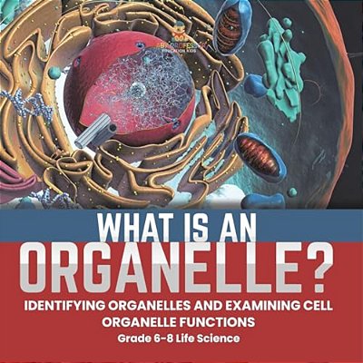 What Is An Organelle? Identifying Organelles And Examining Cell Organelle Functions Grade 6-8 Life Science-..