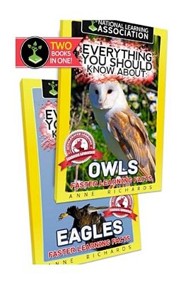 Everything You Should Know About: Owls And Eagles-..