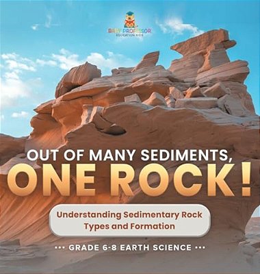 Out Of Many Sediments, One Rock! Understanding Sedimentary Rock Types And Formation Grade 6-8 Earth Science-..