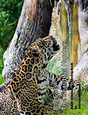 Big Cats: The Beautiful Hunters-..