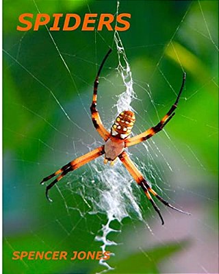 Spiders: Fun Facts & Amazing Pictures - Learn About Snakes-..
