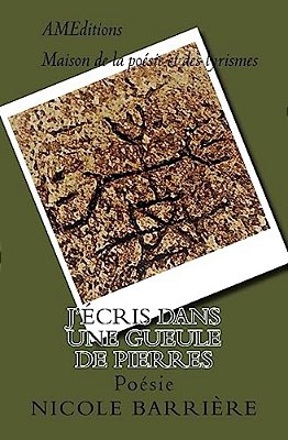 J'Écris Dans Une Gueule De Pierres-..