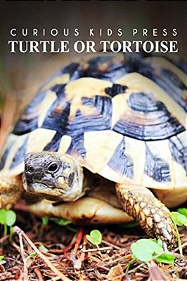 Turtle Or Tortoise - Curious Kids Press: Kids Book About Animals And Wildlife, Children's Books 4-6-..