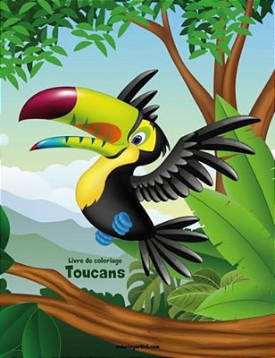 Livre De Coloriage Toucans 1-..
