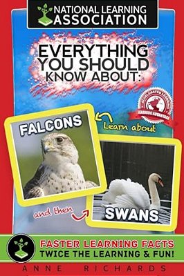 Everything You Should Know About Falcons And Swans-..