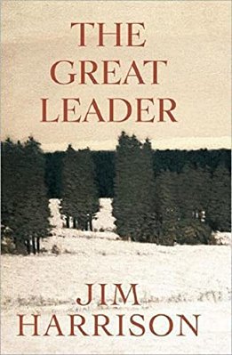 The Great Leader: A Faux Mystery-..