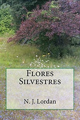 Flores Silvestres-..
