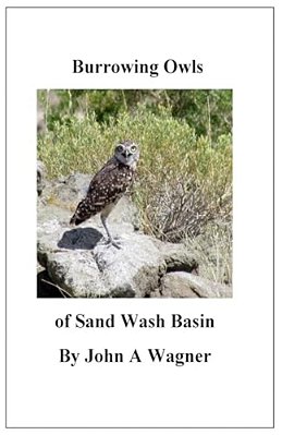 Burrowing Owls Of Sand Wash Basin-..