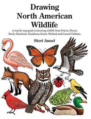 Drawing North American Wildlife: A Step By Step Guide To Drawing Wildlife From Prairie, Desert, Rocky Mountain, Deciduous Forest, Wetland And Coastal-..