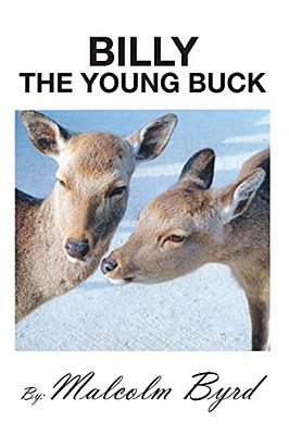 Billy The Young Buck: Susie And Billy Search For Happiness And Freedom-..