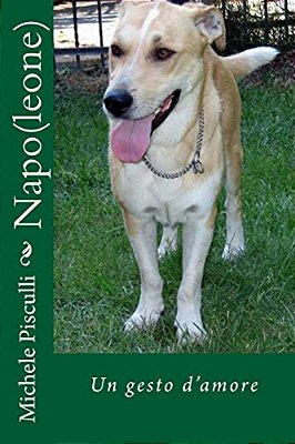 Napo(leone)-..
