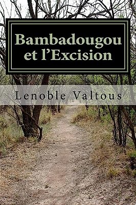 Bambadougou Et L'Excision: L'Afrique Et Ses Mystères-..