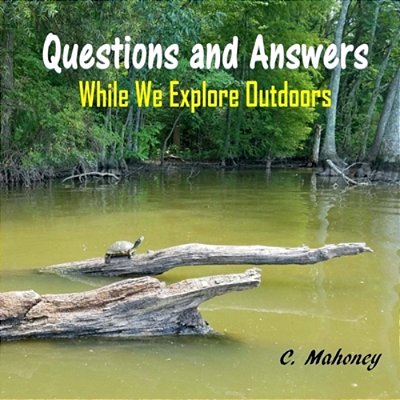 Questions And Answers While We Explore Outdoors-..