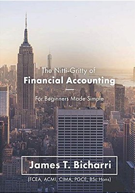 The Nitti-Gritty Of Financial Accounting: For Beginners Made Simple-..