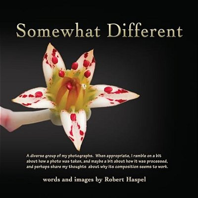 Somewhat Different: Diverse Photography Of Robert Haspel-..