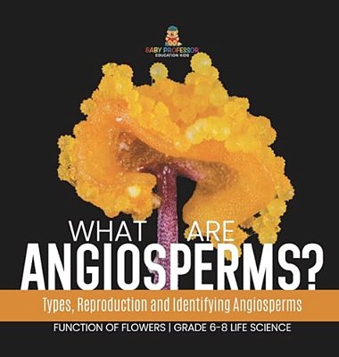 What Are Angiosperms? Types, Reproduction And Identifying Angiosperms Function Of Flowers Grade 6-8 Life Science-..