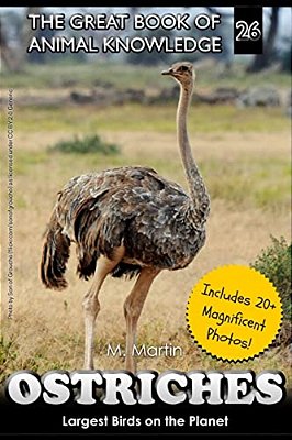 Ostriches: Largest Birds On The Planet-..