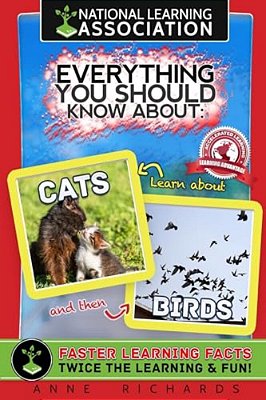 Everything You Should Know About: Cats And Birds-..