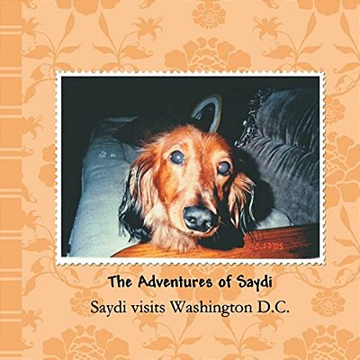 Saydi Visits Washington D. C. -..