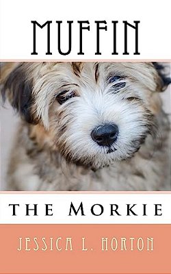 Muffin The Morkie-..
