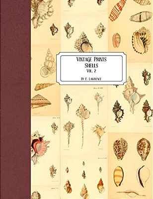 Vintage Prints: Shells: Vol. 2-..