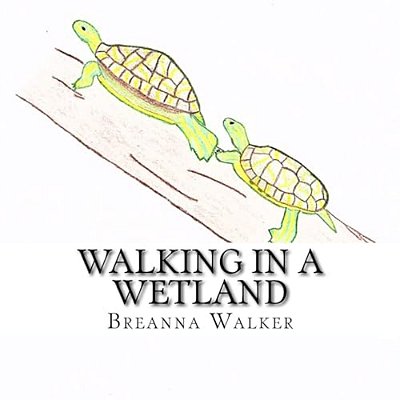 Walking In A Wetland-..