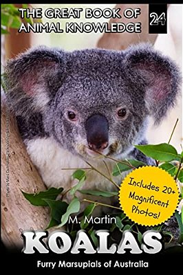 Koalas: Furry Marsupials Of Australia-..