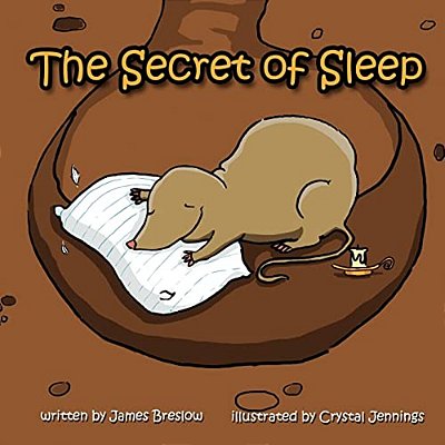 The Secret Of Sleep-..