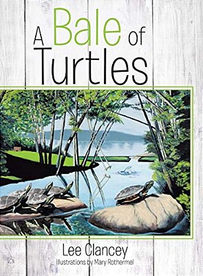 A Bale Of Turtles-..