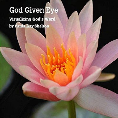 God Given Eye: Visualizing God's Word-..