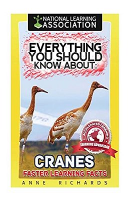 Everything You Should Know About: Cranes-..