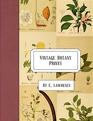 Vintage Botany Prints-..