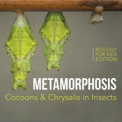Metamorphosis: Cocoons & Chrysalis In Insects Biology For Kids Edition-..