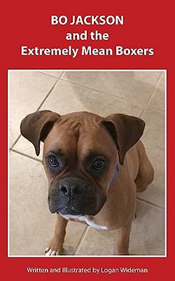 Bo Jackson And The Extremely Mean Boxers-..