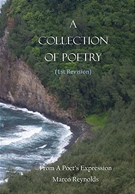 A Collection Of Poetry (1ST Revision): From A Poet's Expression-..