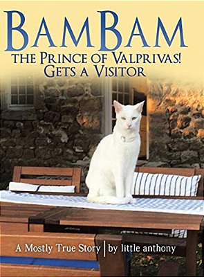 Bambam The Prince Of Valprivas! Gets A Visitor: A Mostly True Story-..