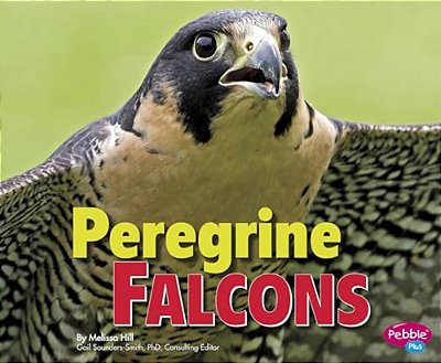 Peregrine Falcons-..