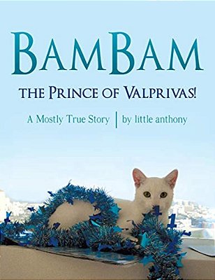 Bambam, The Prince Of Valprivas!: A Mostly True Story-..
