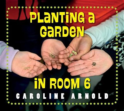 Planting A Garden In Room 6: From Seeds To Salad-..