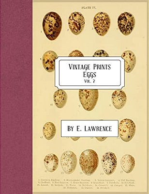 Vintage Prints: Eggs: Vol. 2-..
