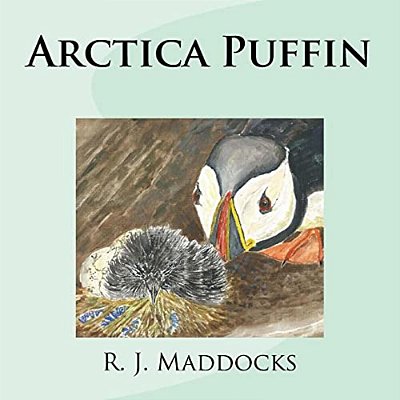 Arctica Puffin-..
