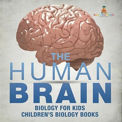 The Human Brain - Biology For Kids Children's Biology Books-..