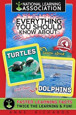 Everything You Should Know About: Turtles And Dolphins-..