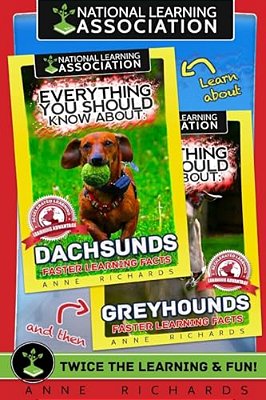 Everything You Should Know About: Dachshunds And Greyhounds-..