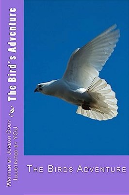 The Bird's Adventure-..