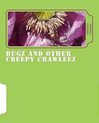Bugz And Other Creepy Crawleez: Insects And Spiders, A Picture Book-..