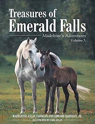Treasures Of Emerald Falls: Madeleine's Adventures - Volume 3. -..
